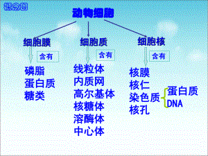 《植物细胞的吸水和失水》实验探究ppt课件.ppt