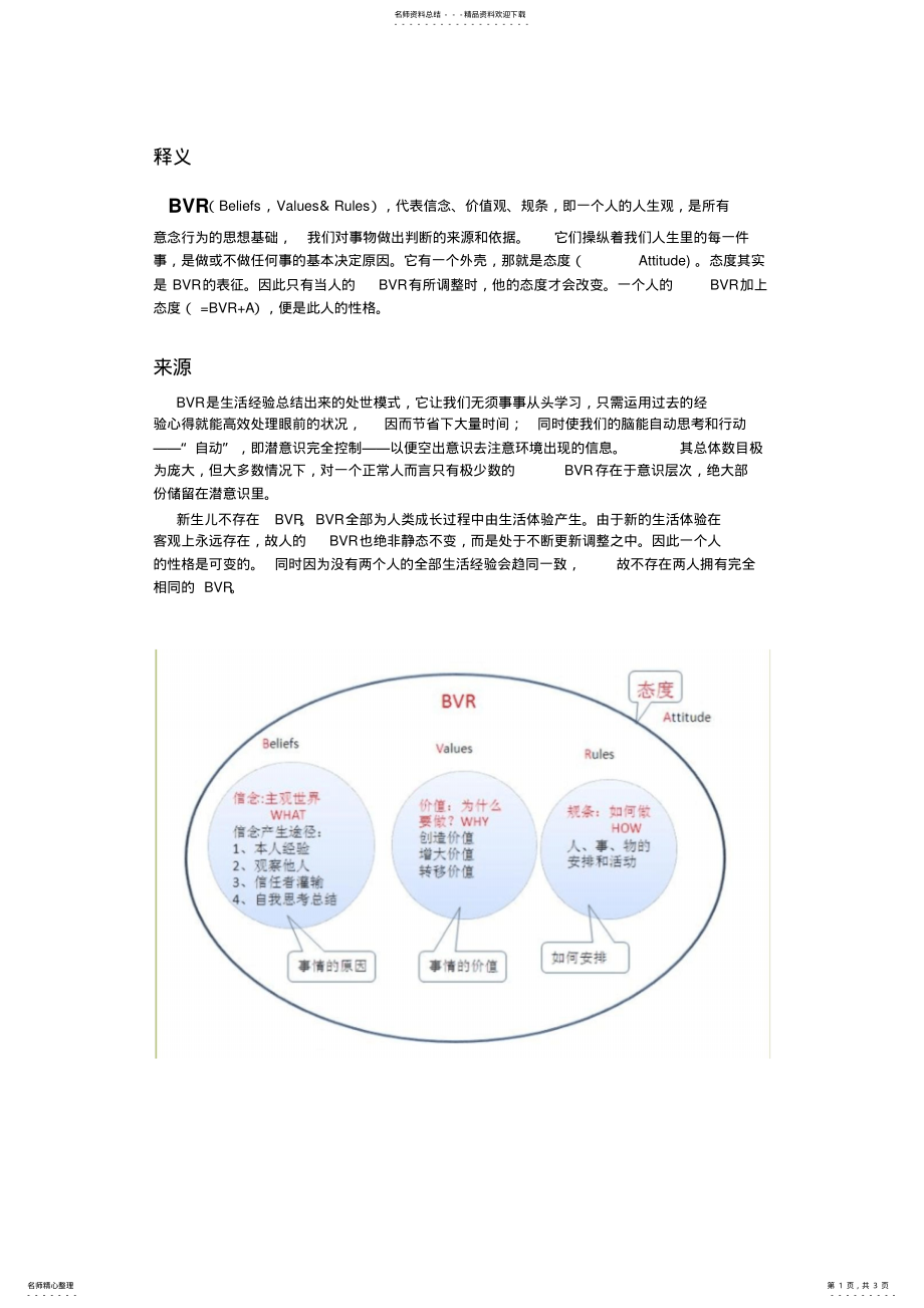 2022年BVR系统解释 .pdf_第1页