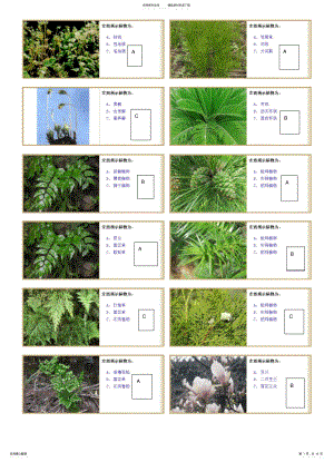 2022年植物学实验题库可用 .pdf