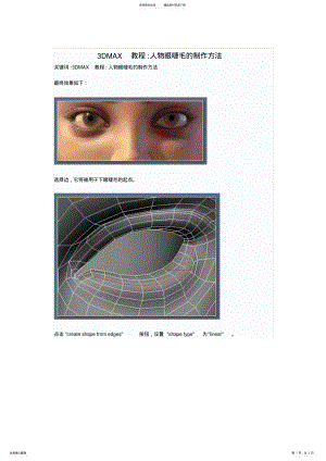 2022年DMAX教程：人物眼睫毛的制作方法 .pdf