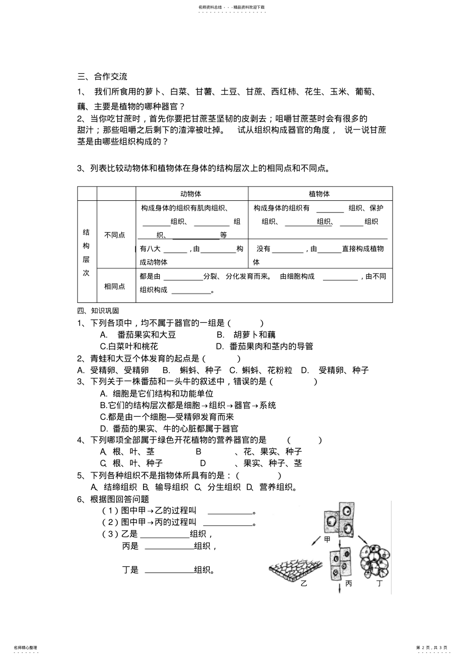 2022年植物体的结构层次定义 .pdf_第2页