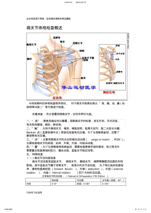 2022年2022年肩关节相关体格检查教案资料 .pdf