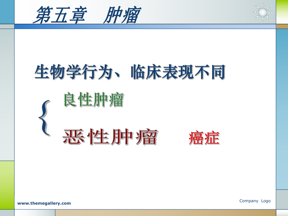 病理学肿瘤ppt课件.ppt_第1页