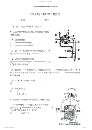 2022年七年级生物下册识图专项练习.docx