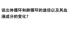 体循环和肺循环的途径ppt课件.ppt