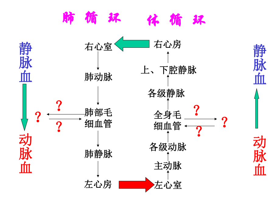 体循环和肺循环的途径ppt课件.ppt_第2页