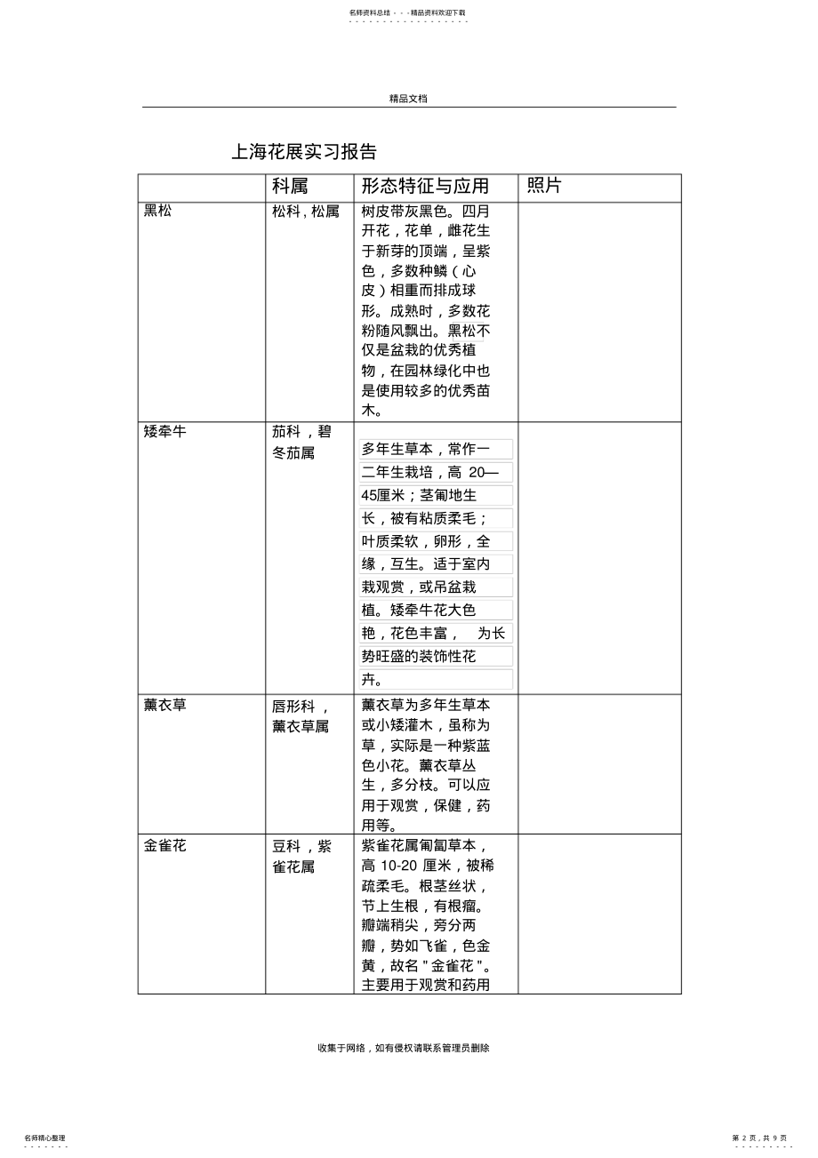 2022年上海植物园草本花卉种类培训讲学 .pdf_第2页