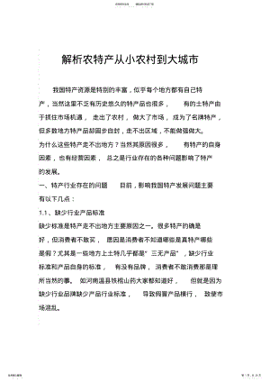 2022年特产营销方案 .pdf