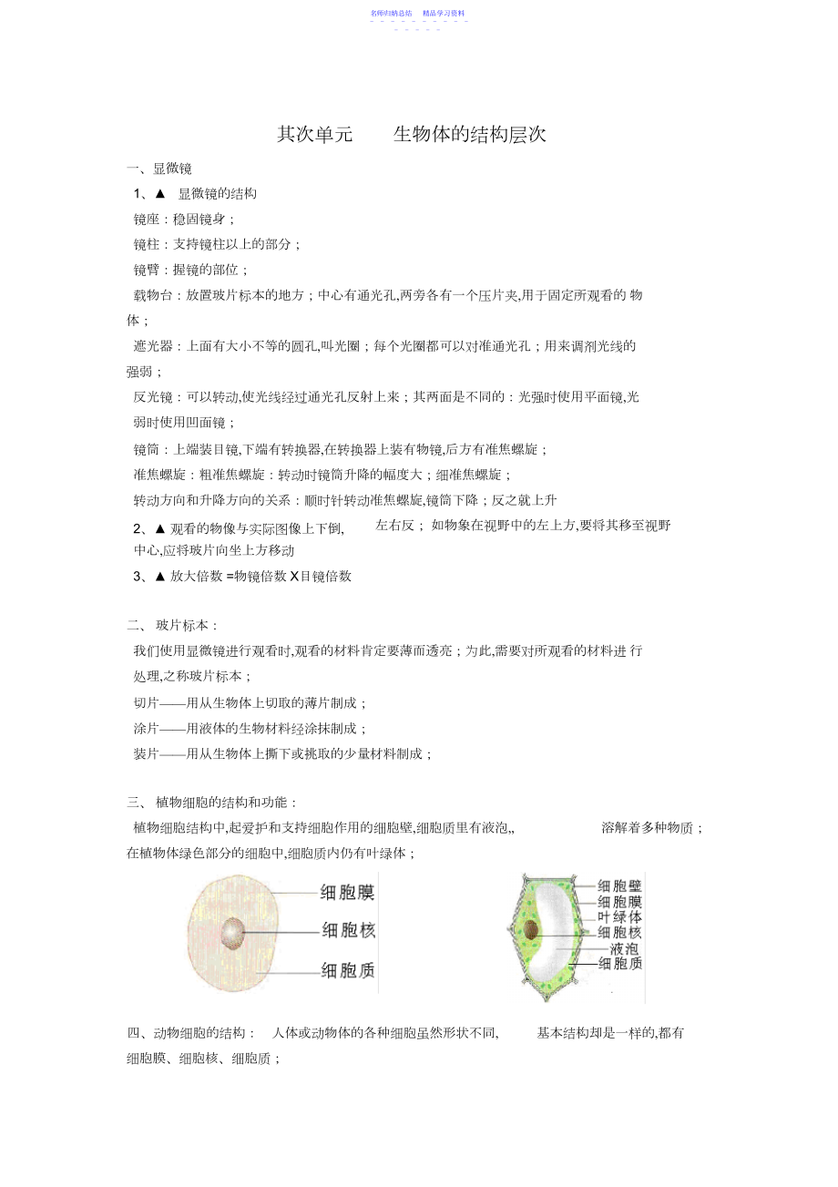 2022年七年级生物上册第二单元生物体的结构层次知识点汇总2.docx_第1页