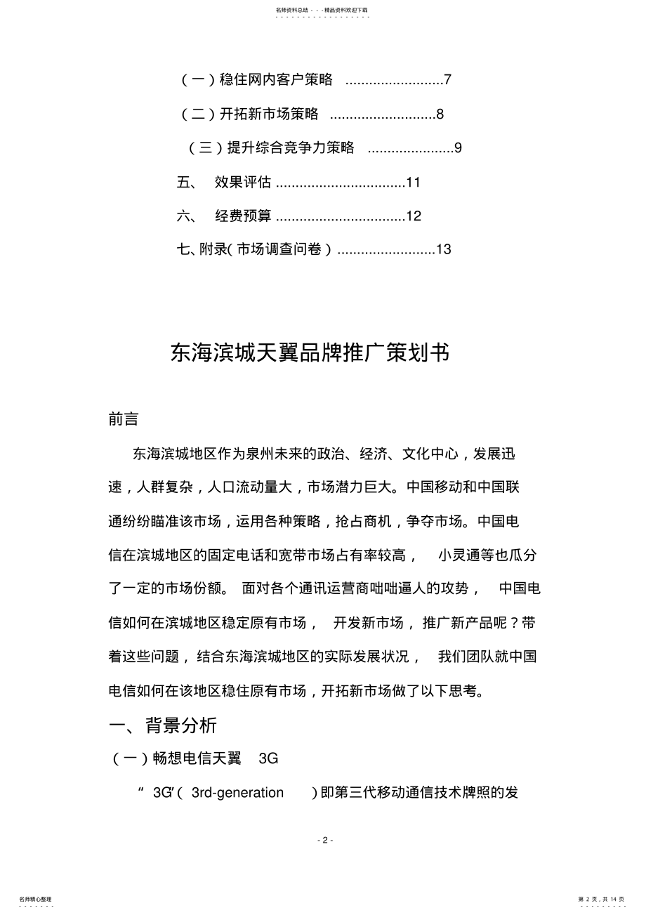 2022年电信营销策划 .pdf_第2页