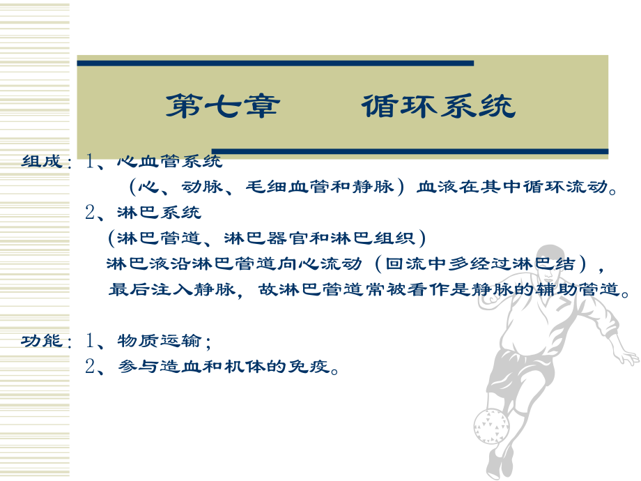 循环系统解剖ppt课件.ppt_第1页