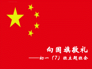 向国旗敬礼主题班会ppt课件.ppt