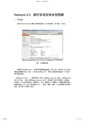 2022年Netware.操作系统安装全程图解 .pdf