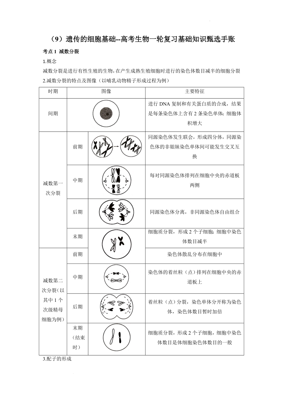 高考生物一轮复习基础知识甄选手账 ：遗传的细胞基础.docx_第1页