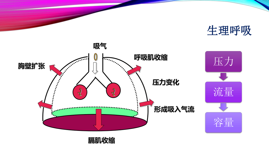 呼吸机波形分析ppt课件.pptx_第2页