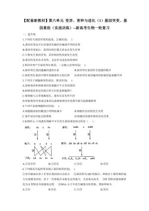 新高考生物一轮复习练习（1）基因突变、基因重组 .docx