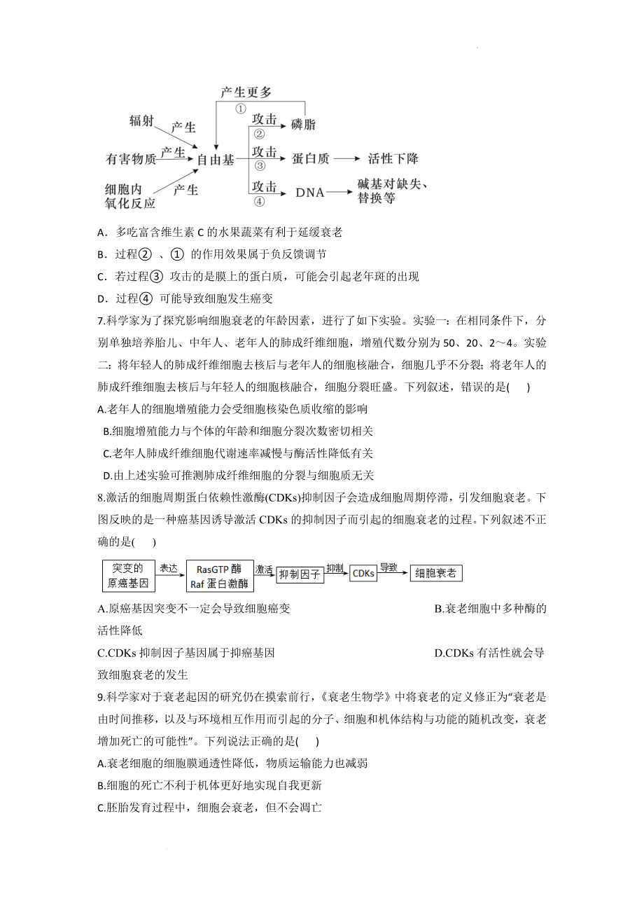 8.3细胞的衰老同步课时作业--高一上学期生物北师大版必修1.docx_第2页