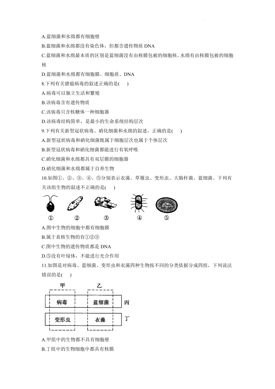 1.1多种多样的细胞同步课时作业--高一上学期生物北师大版必修1.docx_第2页