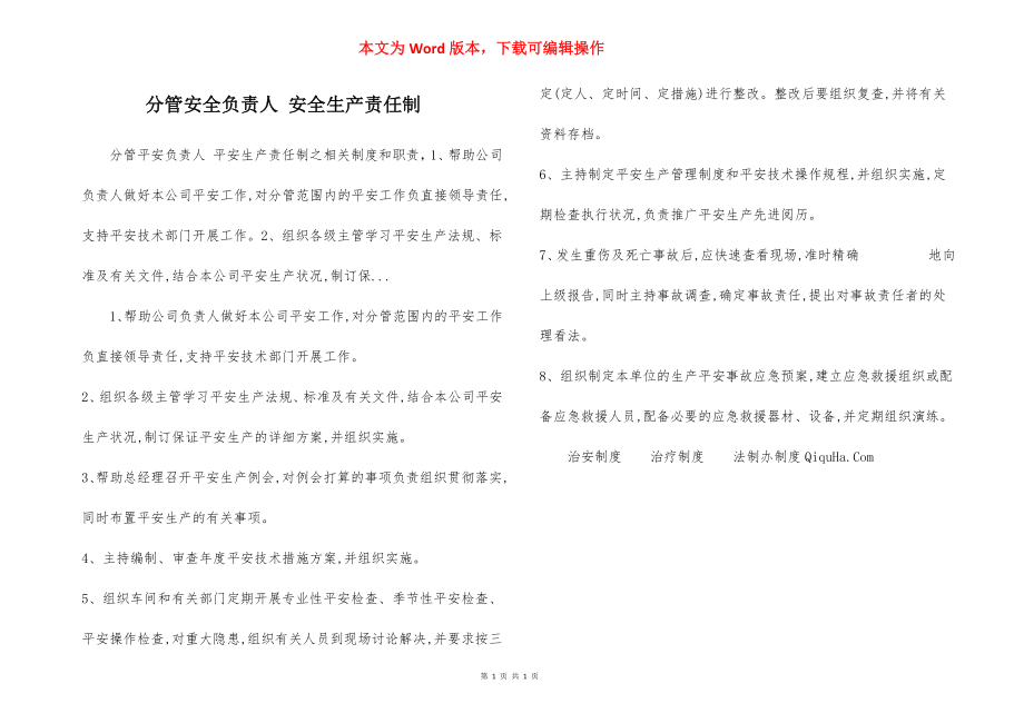 分管安全负责人 安全生产责任制.docx_第1页