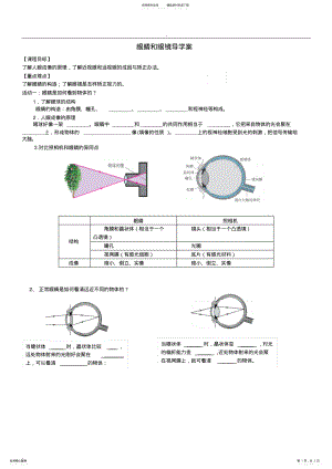 2022年眼睛和眼镜学案 .pdf