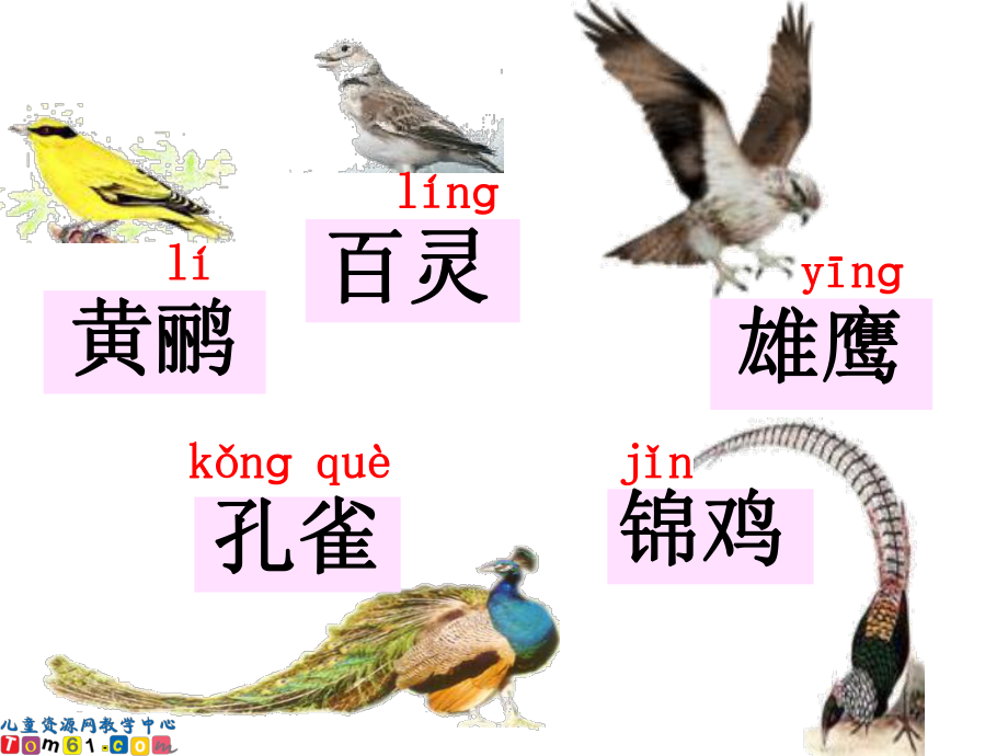 识字7精品课件032.ppt_第2页