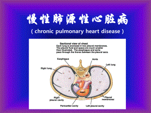 慢性肺源性心脏病(护理)ppt课件.ppt