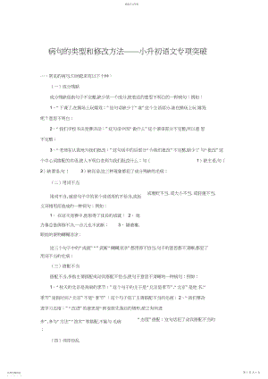 2022年病句的类型和修改方法小升初语文专项突破.docx