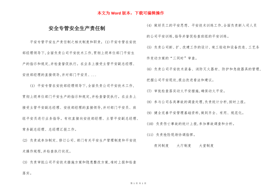 安全专管安全生产责任制.docx_第1页