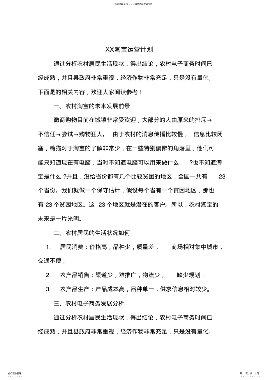 2022年XX淘宝运营计划 .pdf_第1页