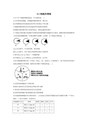 5.1细胞的增殖同步课时作业--高一上学期生物北师大版（2019）必修1.docx