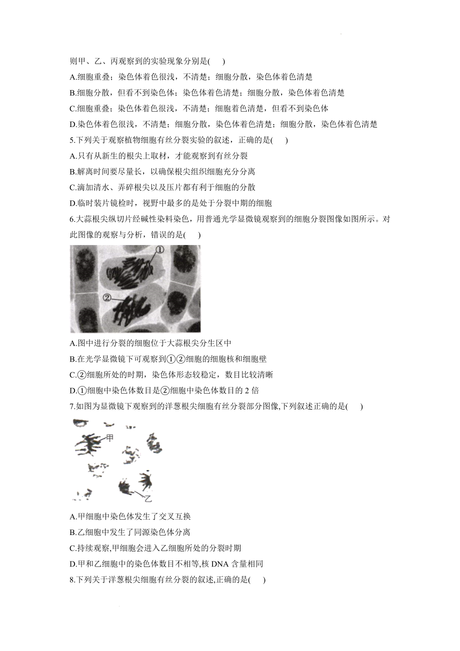 5.1细胞的增殖同步课时作业--高一上学期生物北师大版（2019）必修1.docx_第2页