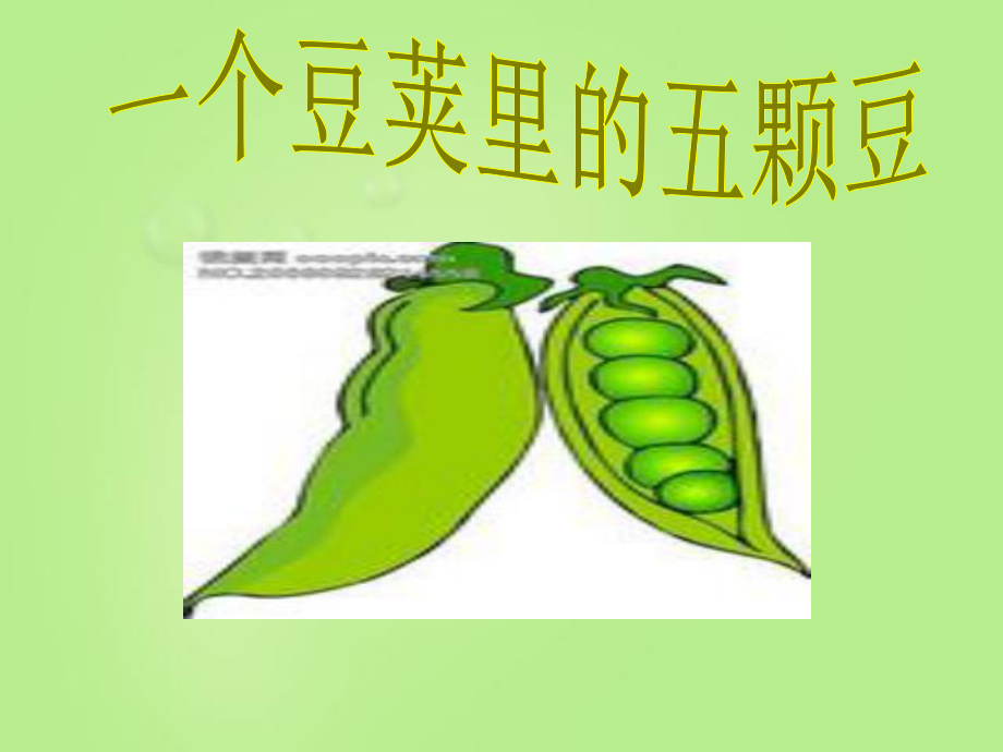 一个豆荚里的五粒豆ppt课件.ppt_第1页