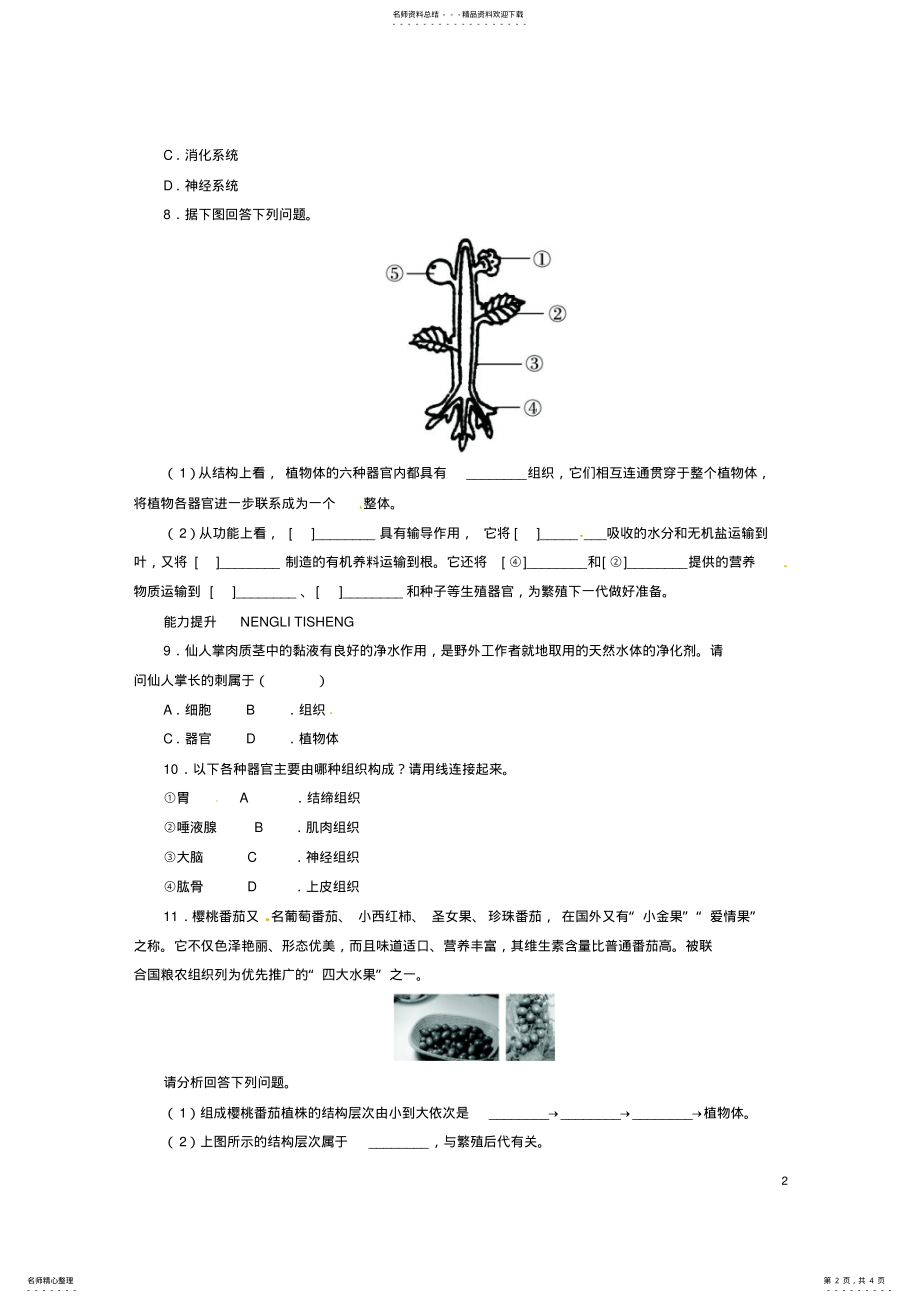 2022年七年级生物上册__生物体的器官、系统自我小测北师大版 .pdf_第2页