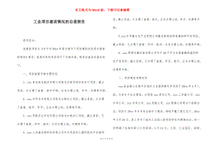 工业项目建设情况的自查报告.docx