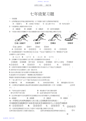 2022年七年级生物上册复习题.docx