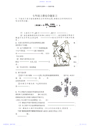 2022年七年级上册综合题复习.docx