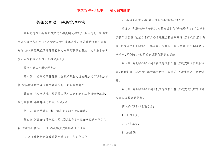 某某公司员工待遇管理办法.docx_第1页