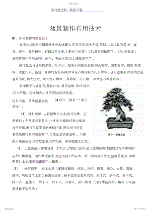 2022年盆景制作技术教案.docx