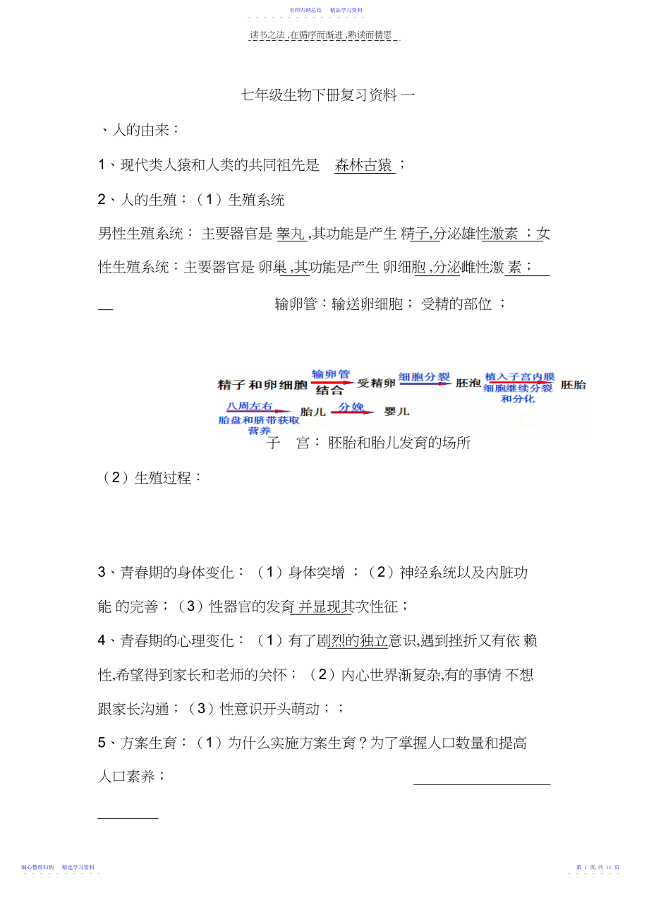 2022年七年级生物下册期末复习资料.docx_第1页