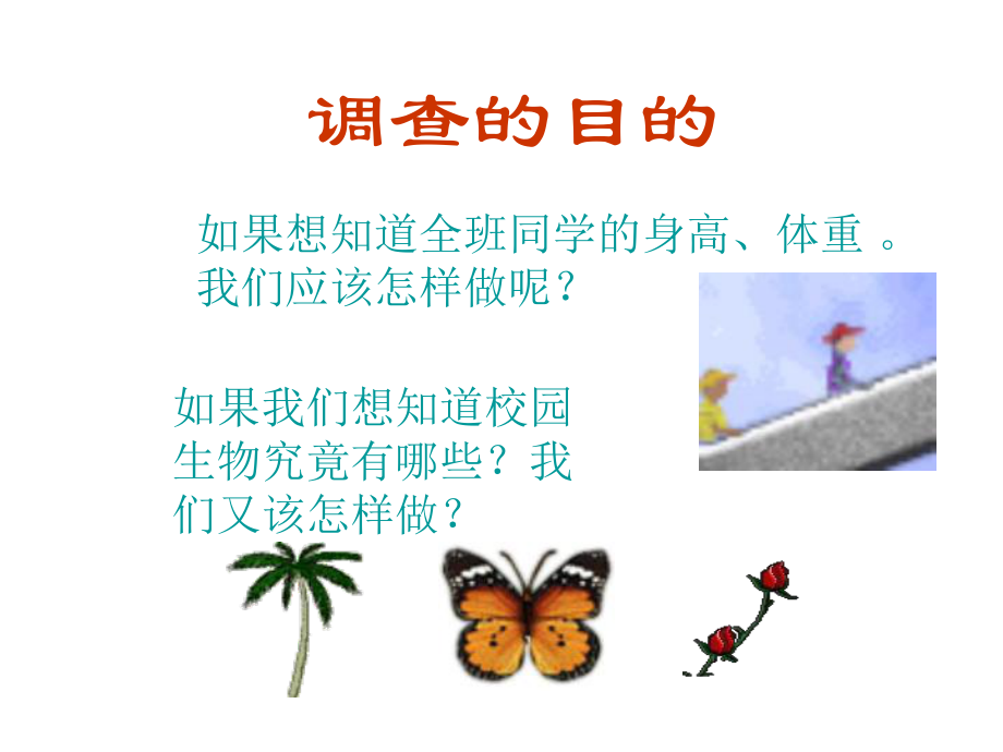 调查我们身边的生物].ppt_第2页