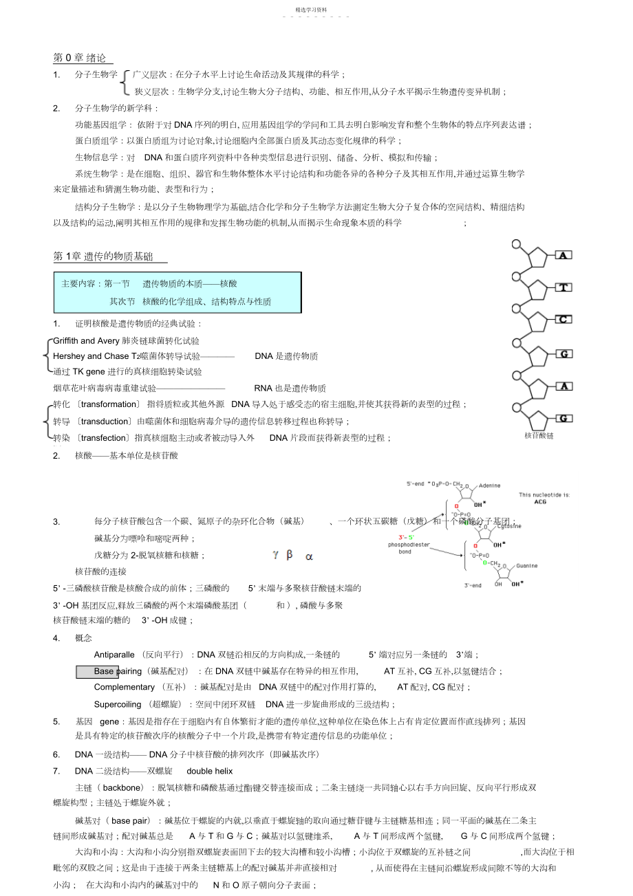 2022年中国海洋大学分子生物学复习资料.docx_第1页