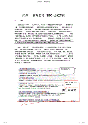 2022年SEO优化方案搜索引擎优化sem .pdf