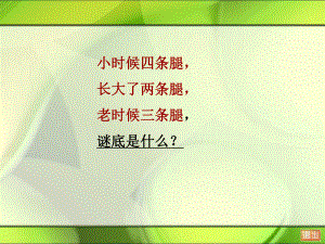 六年级美术下册《成长的变化》ppt课件.ppt