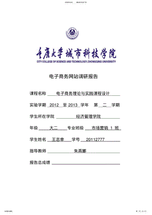 2022年电子商务网站调研 .pdf