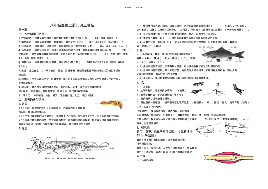 人教版八年级生物上册知识点总结(20211129151657).pdf_第1页