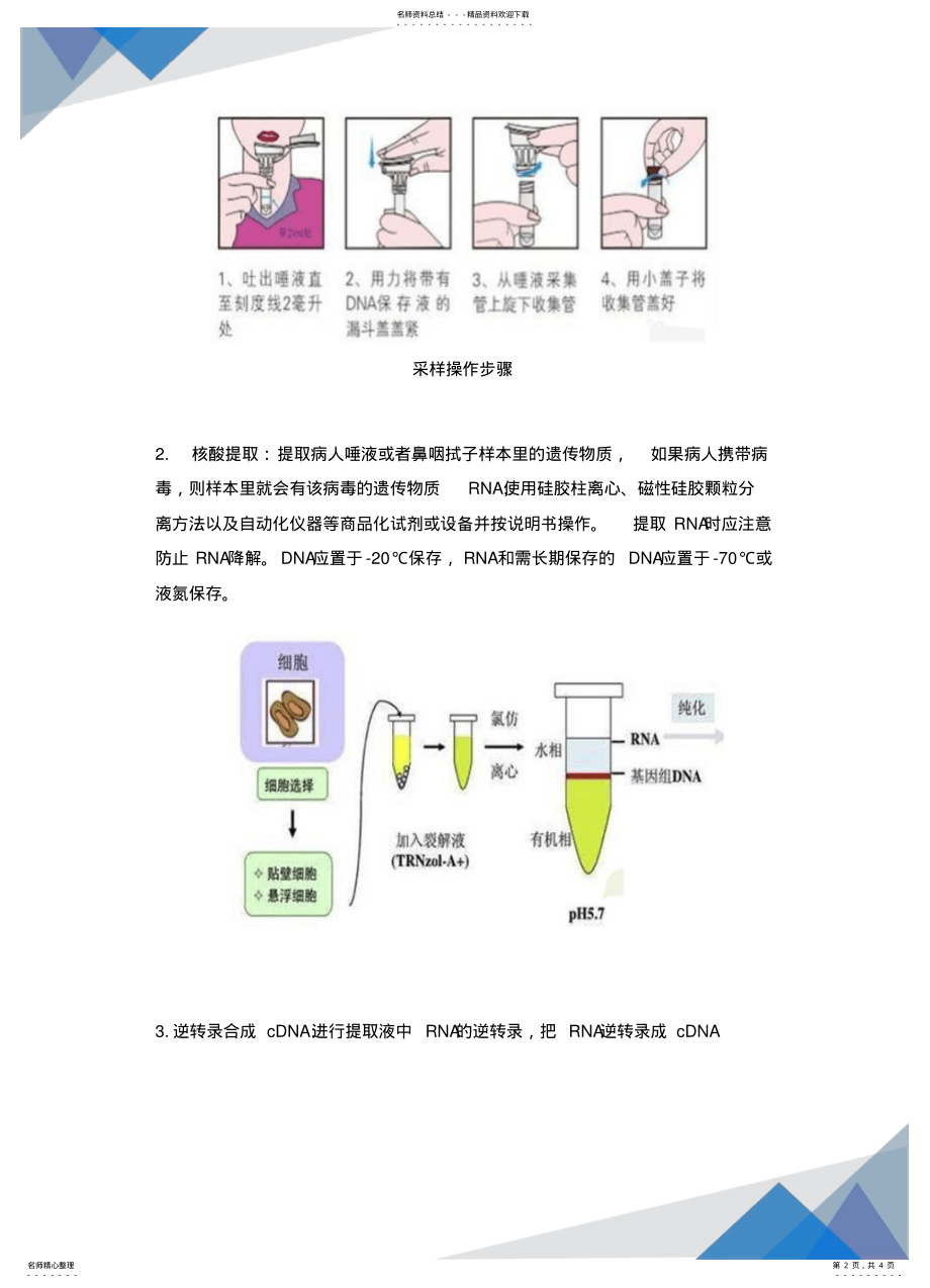 2022年病毒核酸检测流程 .pdf_第2页