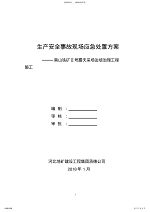 2022年生产安全事故现场处置方案 .pdf