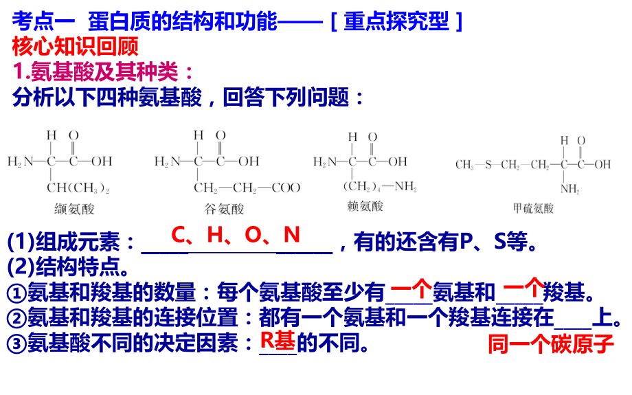 2018高三生物一轮复习蛋白质ppt课件.ppt_第2页