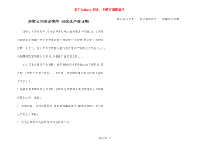 分管公共安全领导 安全生产责任制.docx