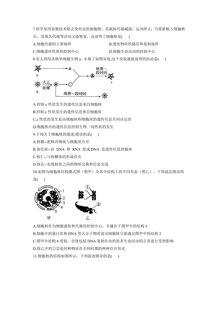 3.3细胞核同步课时作业--高一上学期生物北师大版必修1.docx_第2页